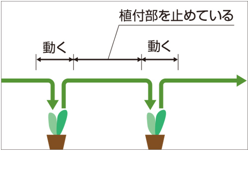 葉菜類用｜歩行半自動移植機 ベジータキッド｜野菜関連機器